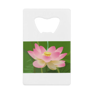 Lotus Plante Pétales Fleur Rose Lys