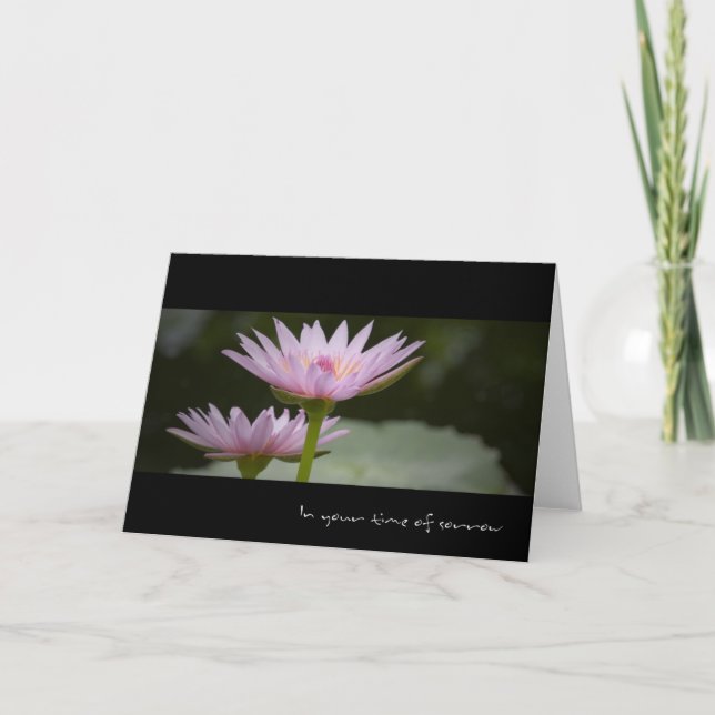 Lotus rose ・ Carte Sympathie (Devant)
