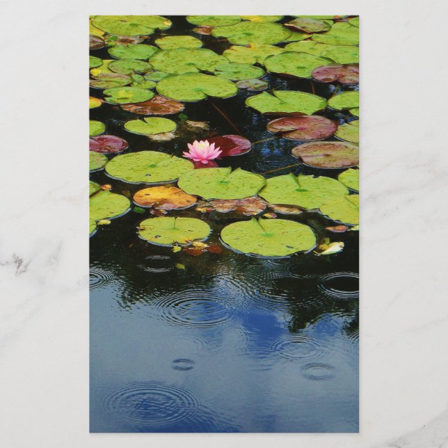 Lotus rose en pluie (Devant)