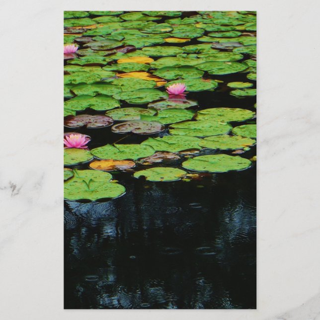 lotus rose noir (Devant)