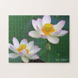 Lotus "Suihiren" [Jigsaw puzzle : 252P] ジ グ ソ ー パ 