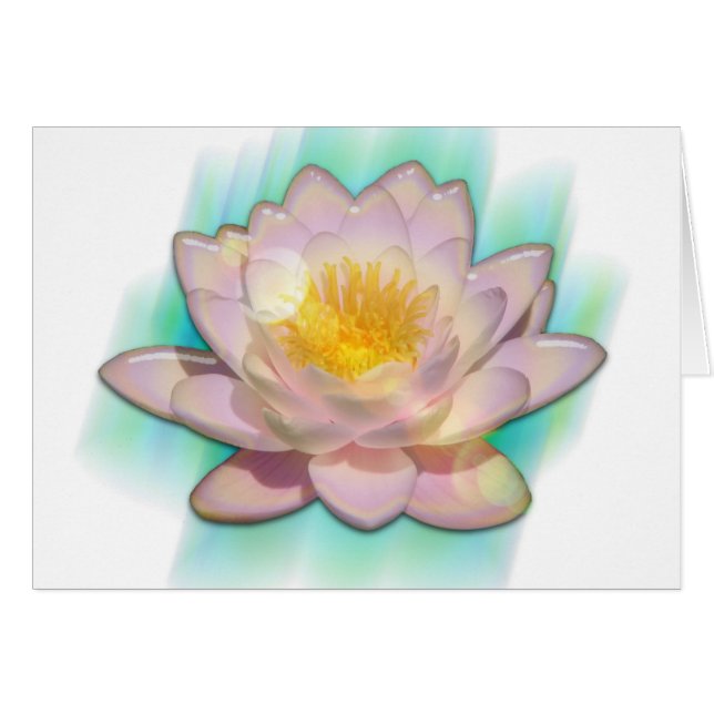 Lotusbloom (Devant horizontal)