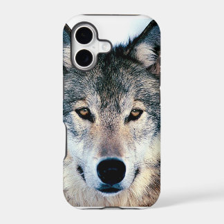 Loup