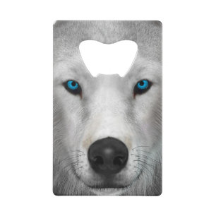 Loup arctique