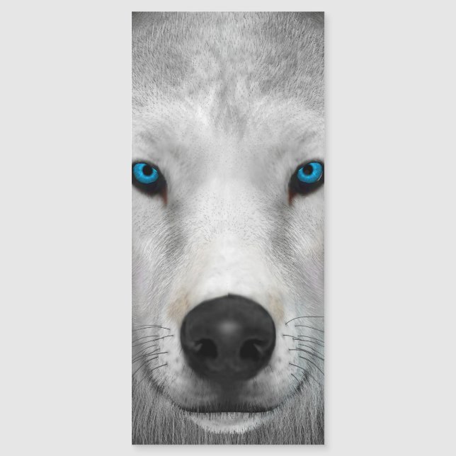 Loup Arctique (Devant)