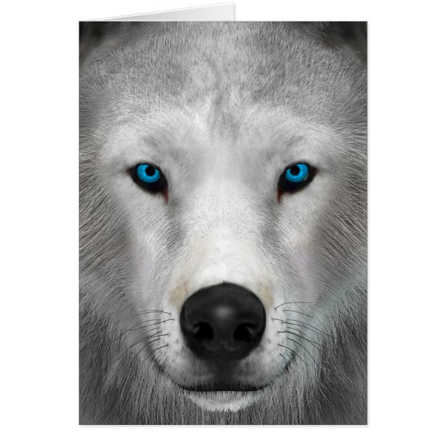 Loup Arctique (Devant)