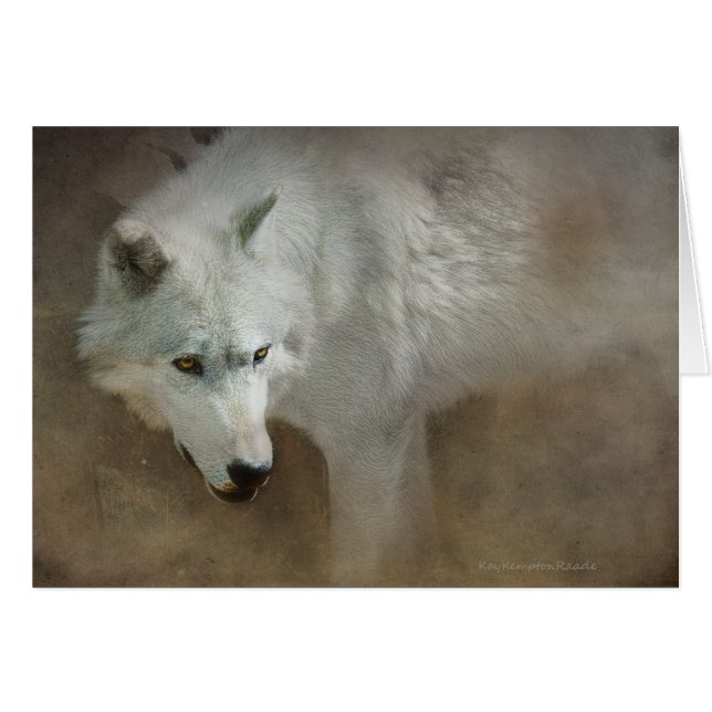 Loup blanc (Devant horizontal)