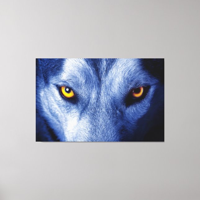 Loup Bleu Avec Belle Toile D'Yeux Lumineux (Recto)