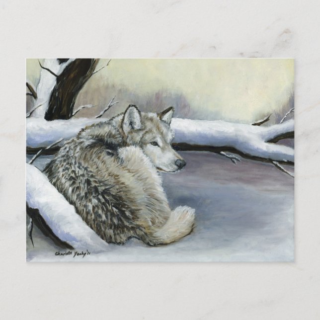 Loup dans la carte postale d'art animal de neige (Devant)