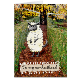 Loup dans le vêtement des moutons, Pour Ex Mari, h