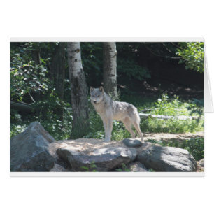 Loup de bois