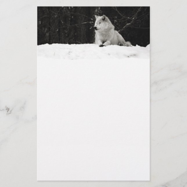 Loup de Neige (Devant)