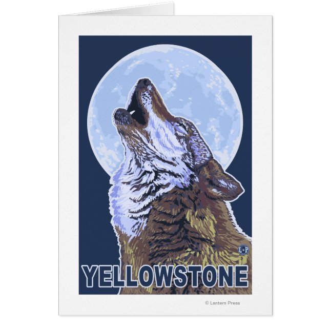 Loup de YellowstoneHowling (Devant)