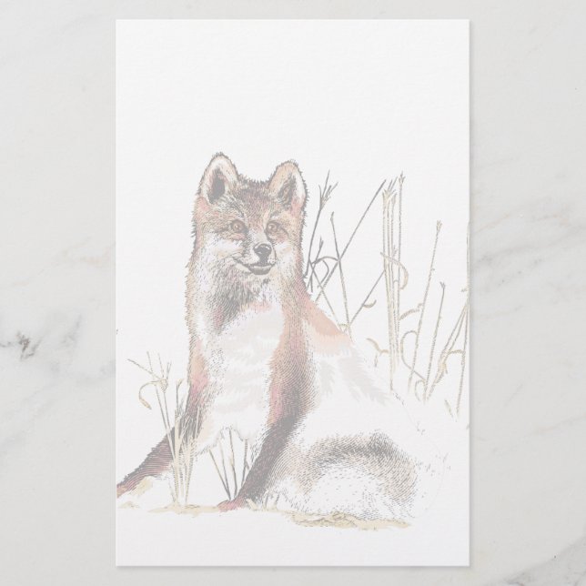 Loup d'hiver (Devant)