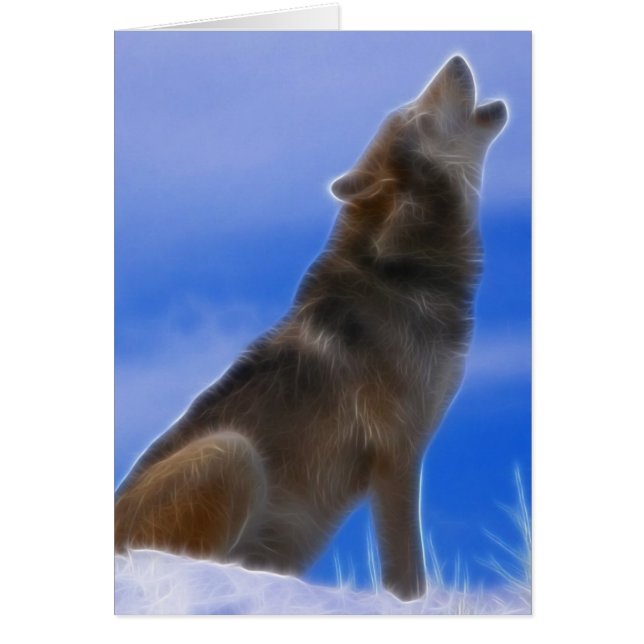 Loup gris mis en danger par hurlement isolé (Devant)