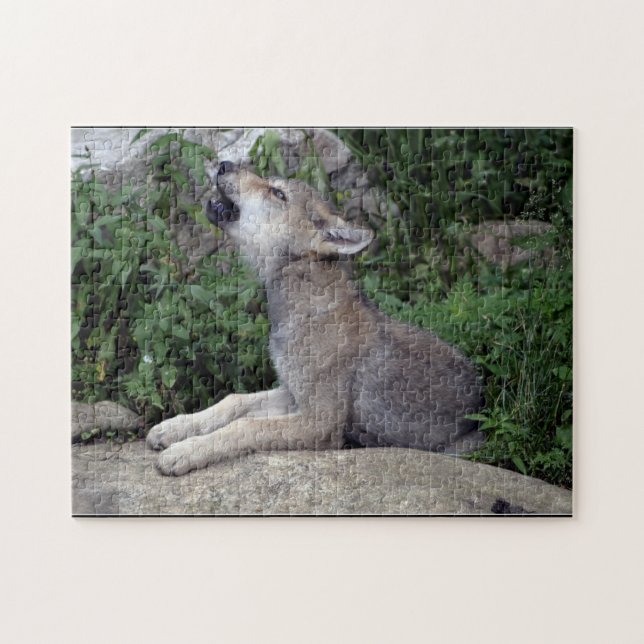 Loup gris ramasse Puzzle animal sauvage (Horizontal)