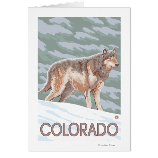Loup gris Standing Colorado (Devant)