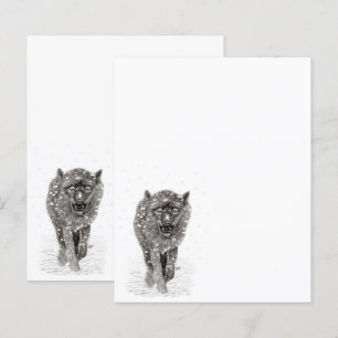 Loup noir en colère dans la neige, hiver sauvage