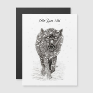 Loup noir en colère dans la neige, hiver sauvage