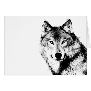 Loup noir et blanc