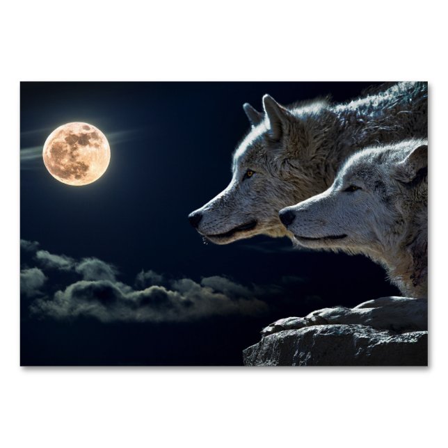 Loups blancs hurlant à la carte de table de la Ple (Devant)