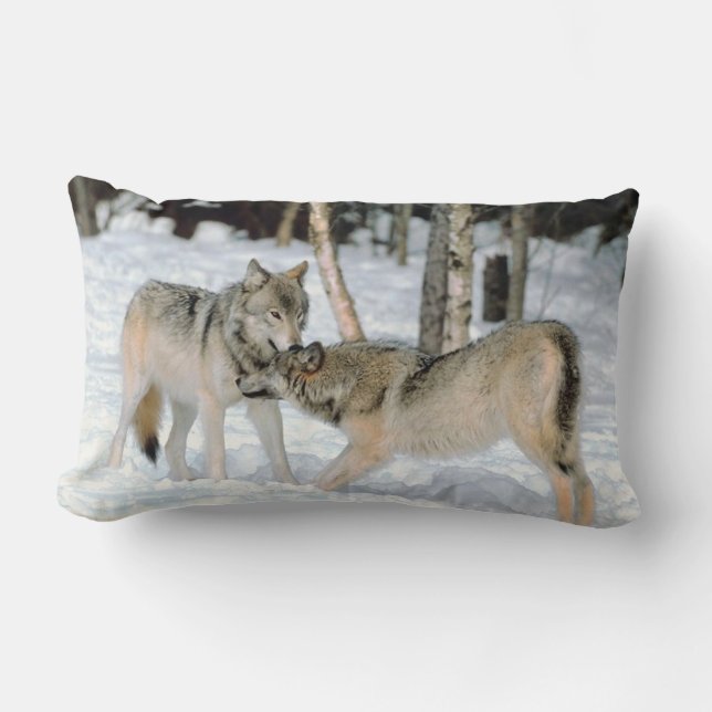 Loups dans le coussin lombaire   de neige (Recto)