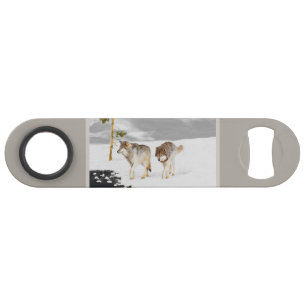 Loups en peinture sur neige - Art original de la f