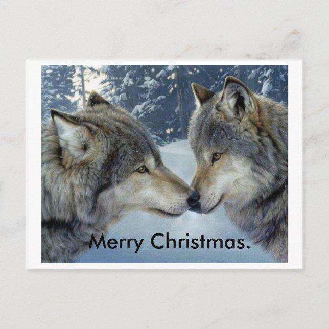 loups frottant le nez joyeux cartes postales de No (Devant)