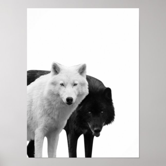 Loups Noir Blanc  Cabane Rustique Affiche Photo (Devant)