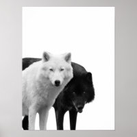 Loups noir blanc Cabine rustique Poster photo
