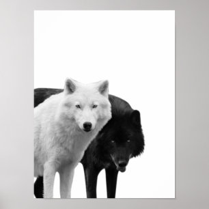 Loups noir blanc Cabine rustique Poster photo