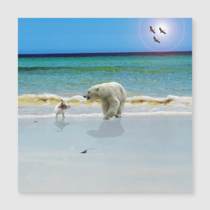 L'Ours Polaire Rencontre Jack Russell, Carte magné