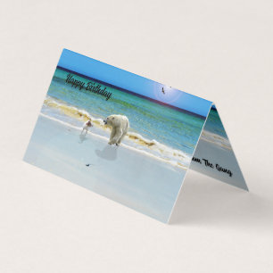 L'ours polaire rencontre Jack Russell, Pack Carte