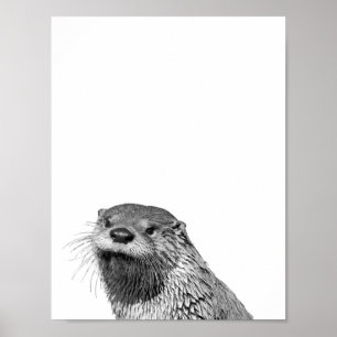 Loutre Noir Blanc Poster Photo Cabane Nurserie