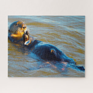 Loutres de mer de nos mers Puzzle
