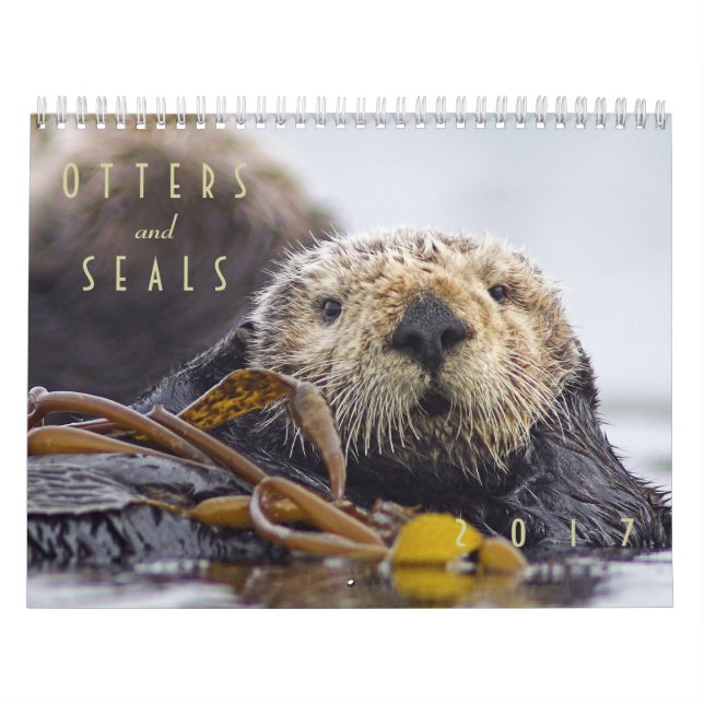 Loutres de mer et calendrier mural des joints 2017 (Protection)