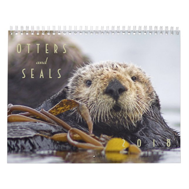 Loutres de mer et calendrier mural des joints 2018 (Protection)