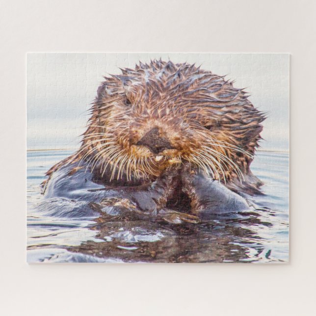 Loutres de mer nos mers Jigsaw Puzzle (Horizontal)