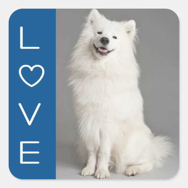 Love American Eskimo Chien Chien Chien Sticker / É (Devant)