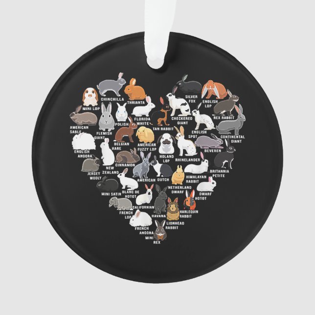 Love Bunnies Funny Coeur lapin (devant)