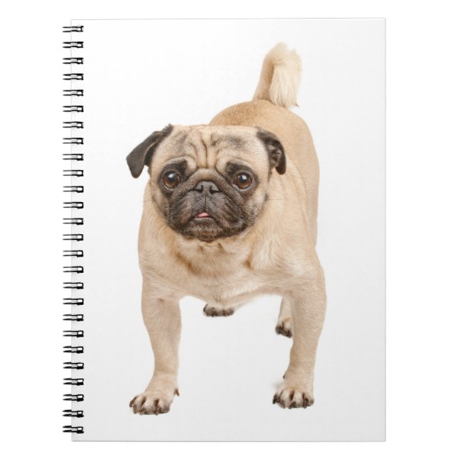 Love Carlin Puppy Dog Notebook / Journal (Devant)