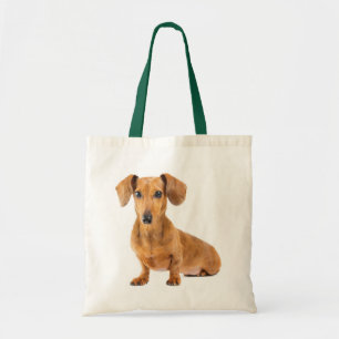Love Dachshund Puppy Dog Canvas Sac fourre-tout