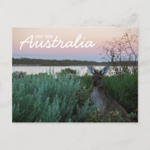 Love From Australia Kangaroo Sunset Lake Carte pos