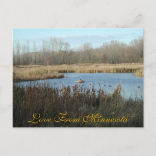 Love From Minnesota Carte postale par Janz