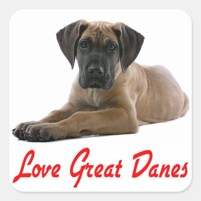 Love Great Dane Chien Chien Sticker / Sceau (Devant)