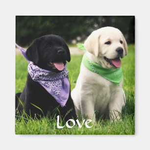 Love Labrador Retriever Puppies Fridge Magnet