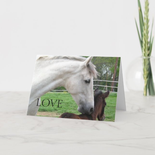 LOVE MARE ET CARTE FOIRE (Devant)
