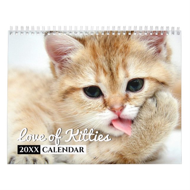 Love of Kitties Calendrier de mur photo (Protection)