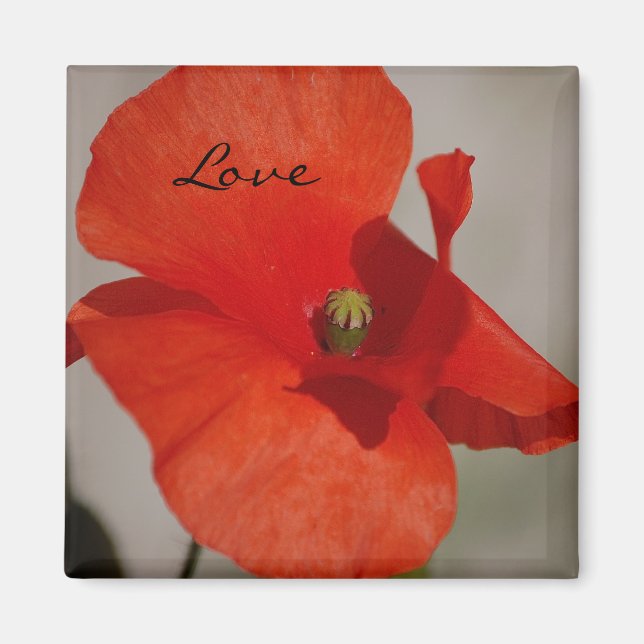 Love Poppy Magnet (Devant)