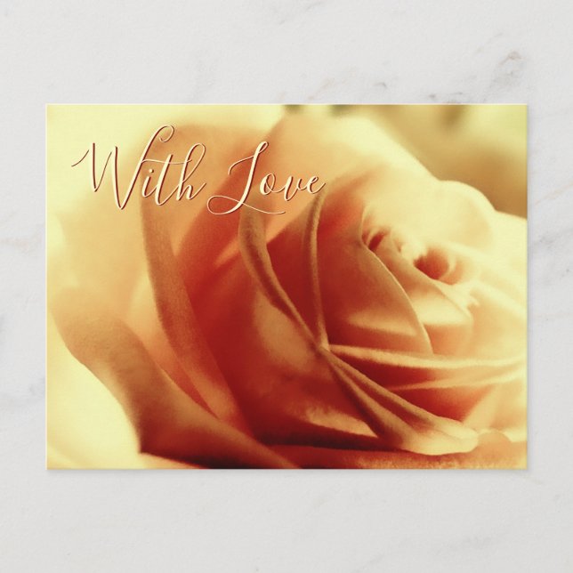 Love Rose Flower Carte postale personnalisable (Devant)